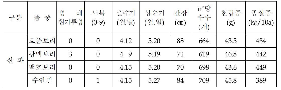 제품 다양화를 위한 맥종별 파종방법에 따른 생육 및 수량성