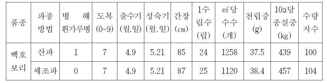 산파와 기계파종간 생육비교