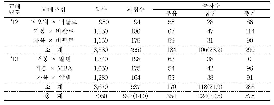 4배체 × 2배체 교배 및 채종수