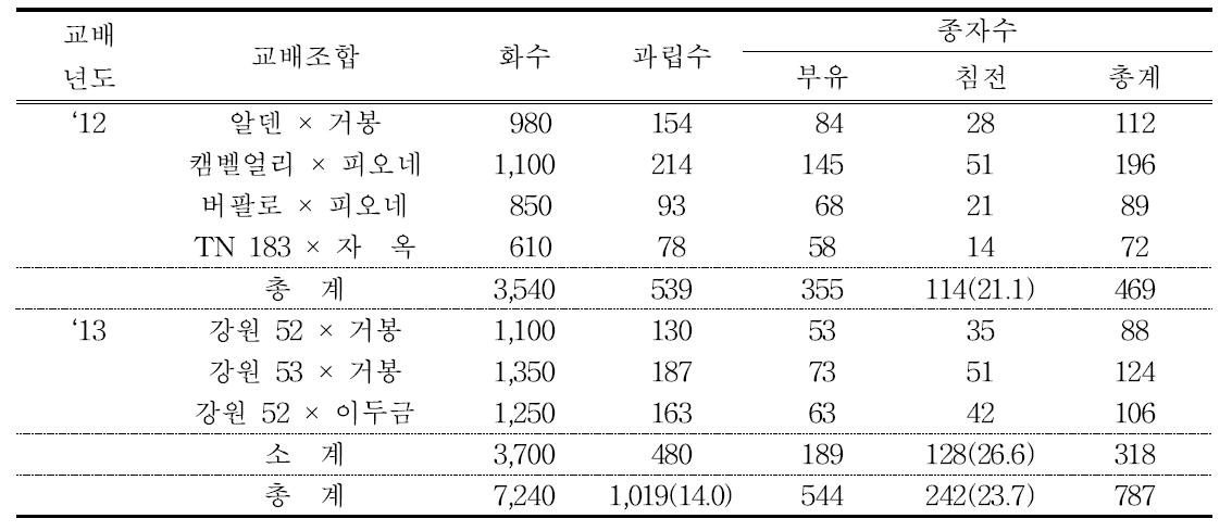 2배체 × 4배체 교배 및 채종수