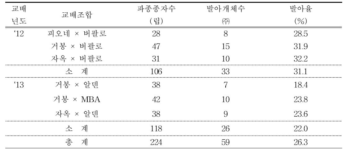 ‘12년 교배종자 파종 및 발아율