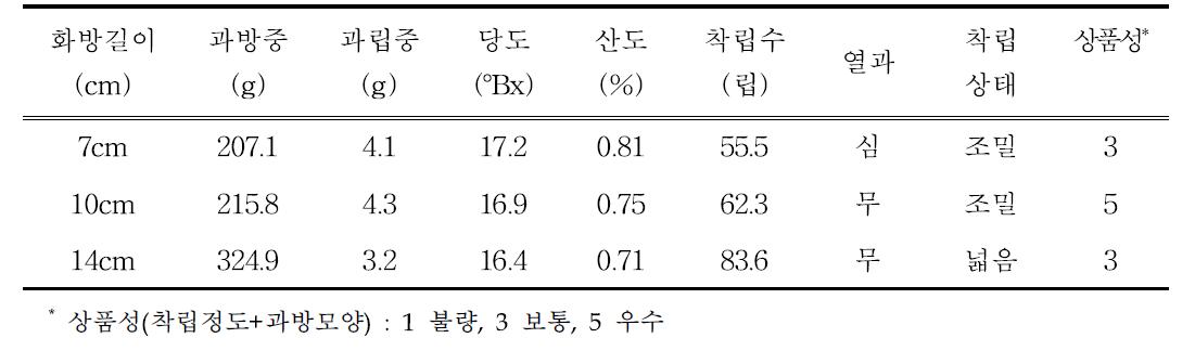 ‘씨제로’ 꽃송이 길이별 과실특성