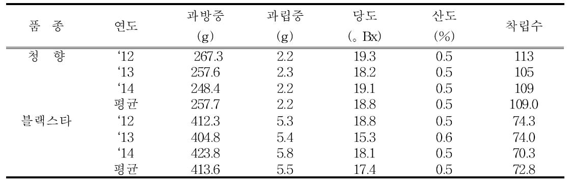 홍천지역 포도 청향, 블랙스타 과실특성