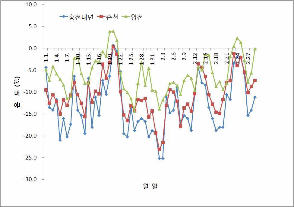 홍천 내면지역 3배체 겨울철 온도 분포