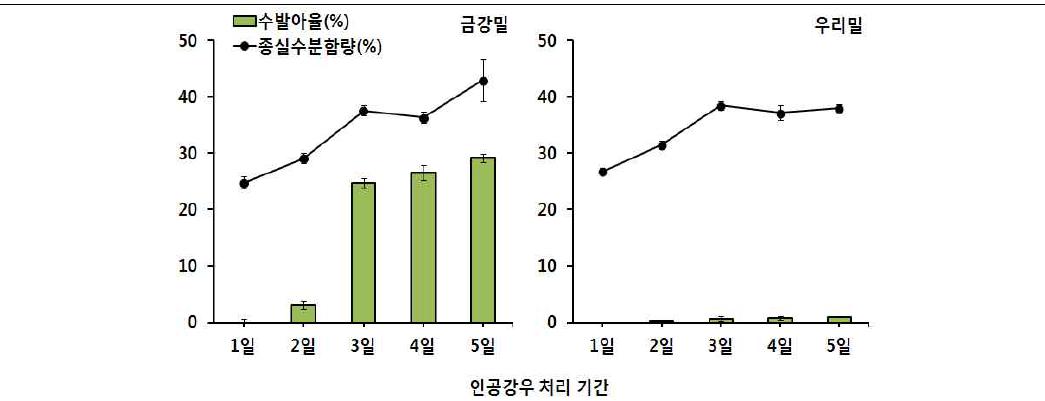 인공강우 처리기간에 따른 종실 수분함량 및 수발아율의 변화