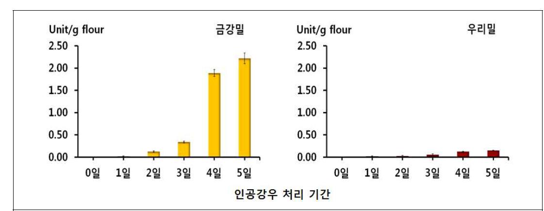 인공강우 처리기간에 따른 종실의 a-amylase 활성 변화