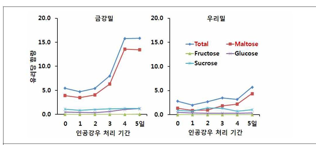 인공강우 처리기간에 따른 종실의 유리당 함량변화.