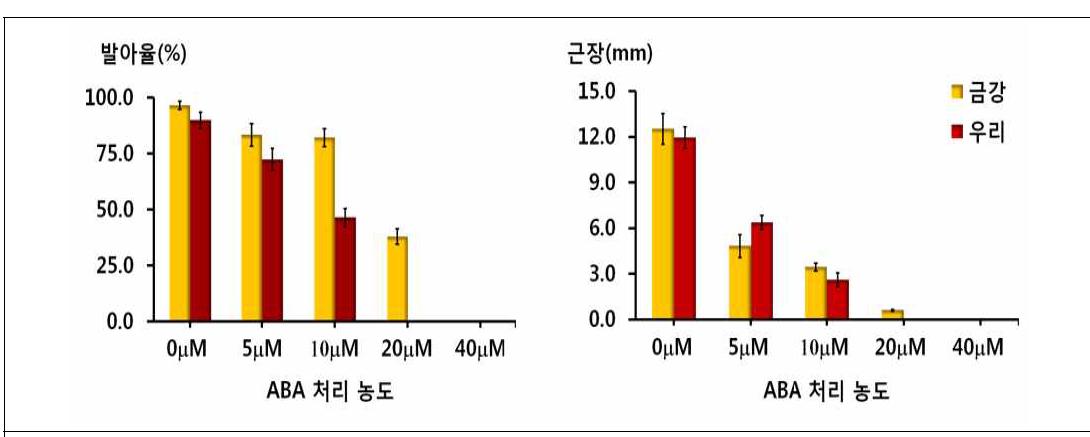 ABA 처리 농도별 금강밀과 우리밀의 발아율 및 유근장 차이