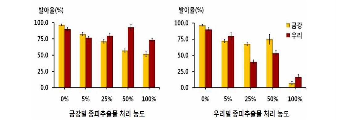 종피추출물 처리 농도에 따른 금강밀과 우리밀의 발아율 차이