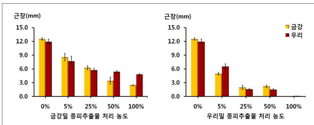 종피추출물 처리 농도에 따른 금강밀과 우리밀의 유근장 차이