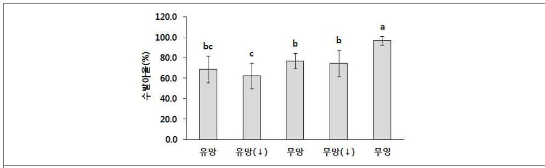 이삭의 형태적 특성에 따른 수발아율 차이