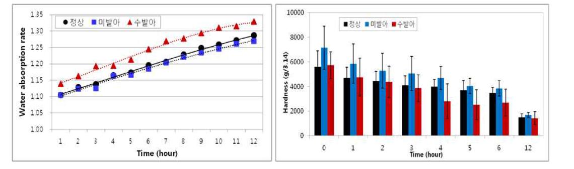 수발아 피해정도별 밀 종자의 수분흡수율과 경도값