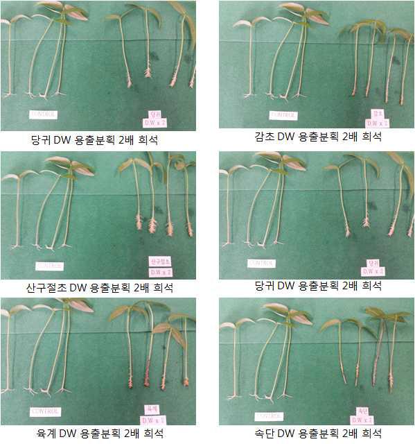 80 % Methanol 추출물의 참숯 칼럼크로마토그래피 분획물의 녹두 절단유묘 발근촉진 효과