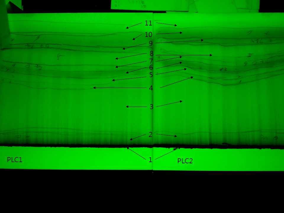 UV 254 nm에서 확인된 PLC 분리결과