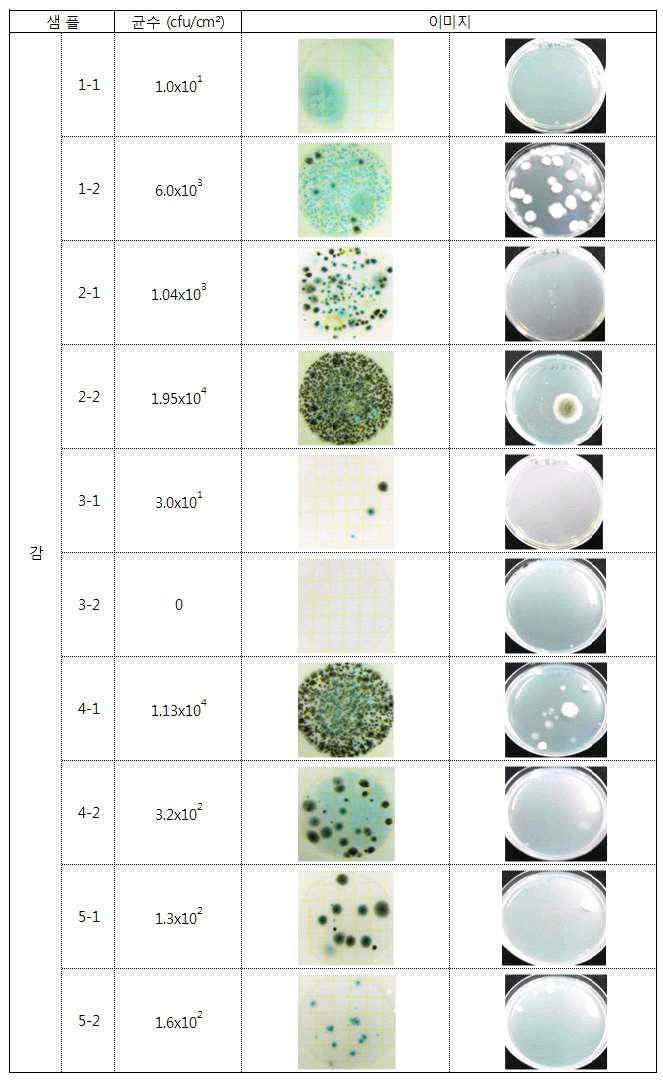 단감 저온저장고의 벽면 곰팡이 생균수 조사 결과(1: 내부, 2: 입구)