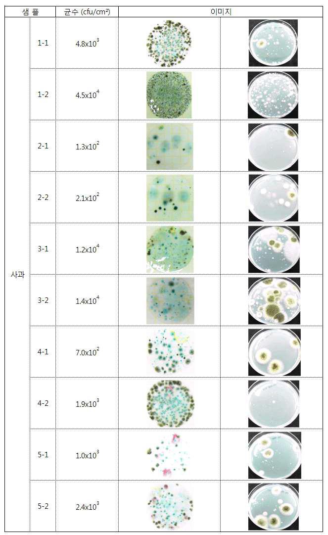 사과 저온저장고의 벽면 곰팡이 생균수 조사 결과(1: 내부, 2: 입구)