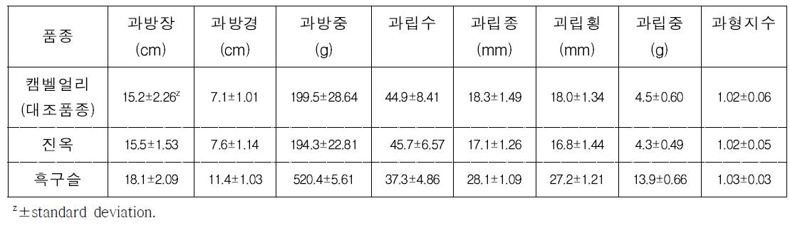 주요 신품종의 수확기 과실 특성