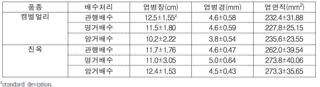 배수방법에 따른 ‘캠벨얼리’와 ‘진옥’의 엽 특성