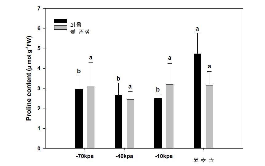 토양수분 정도에 따른 포도 ‘거봉’과 ‘흑보석’의 처리 15일 후 proline 함량