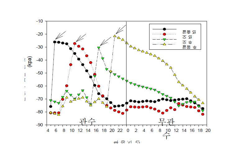 관수시점에 따른 토양수분포텐셜 변화