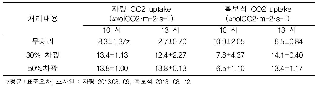 고온기 차광 정도가 자랑 및 흑보석 포도 광합성에 미치는 영향