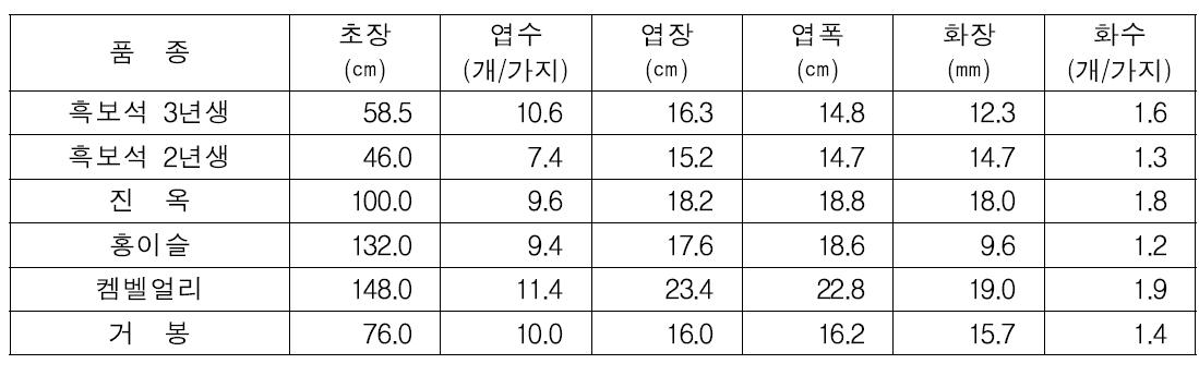 포도 신품종의 초기 수체 생장량