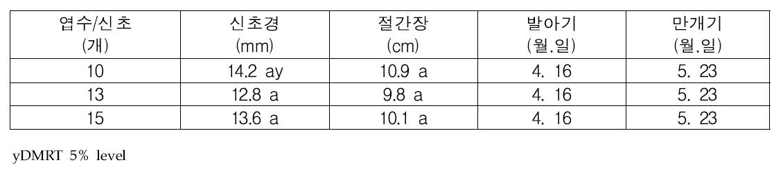 포도 흑구슬 품종 엽수/신초 생육특성