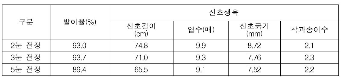 포도 흑보석 품종의 전정 방법별 생육특성