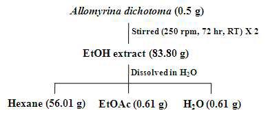 Extraction and fractionation of Allomyrina dichotoma