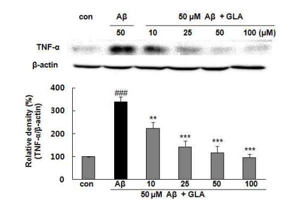 Effects of GLA on Aβ(25-35)-induced TNF-α expression in PC12 cells