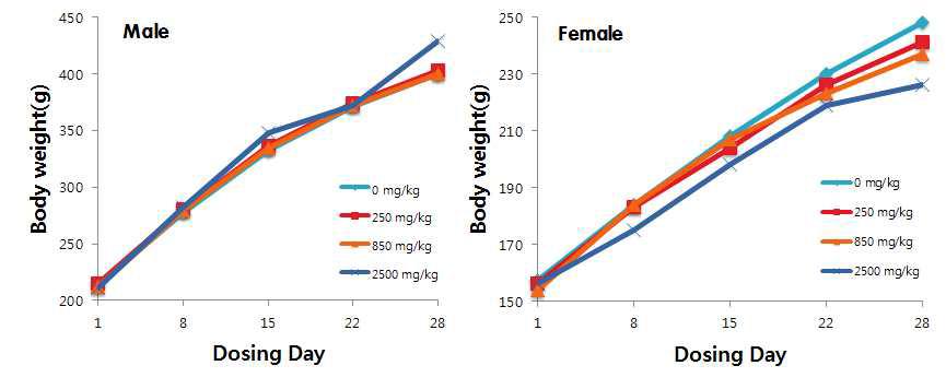 Body Weight (Group Summary)