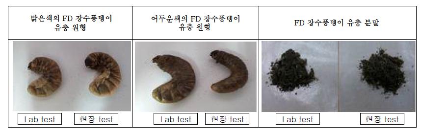 동결건조 test 조건에 따른 색상비교