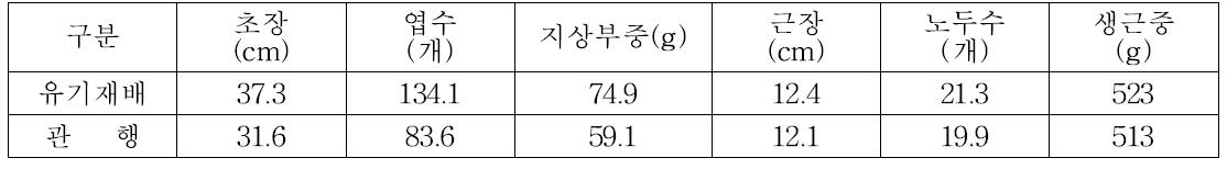 천궁 농가 실증시험 수확기 생육 상태