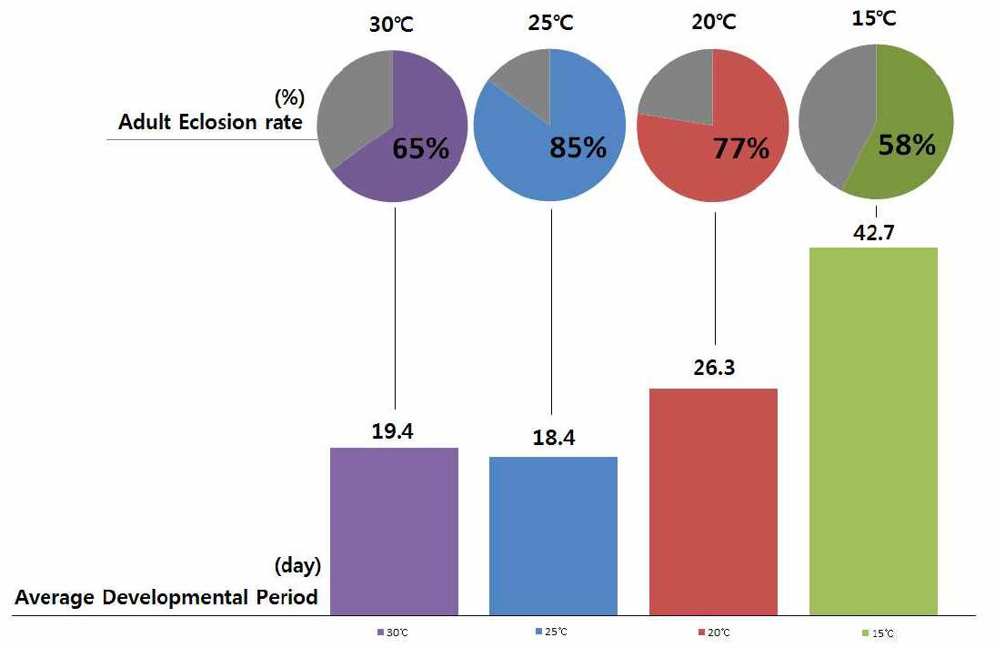온도 별 큰이십팔점박이무당벌레의 평균 성충 우화율과 발육기간.