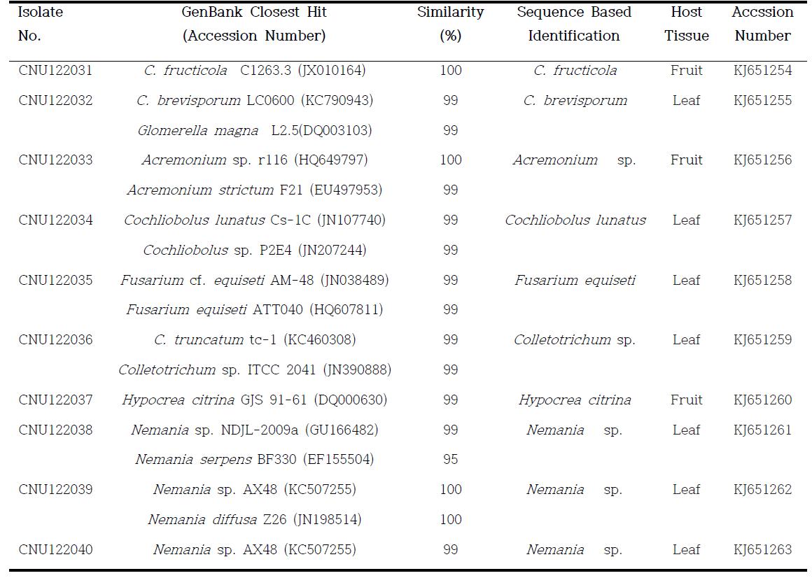 ITS 염기서열의 Blast Search 분석으로 구기자에서 분리한 균주와 근연종 확인.