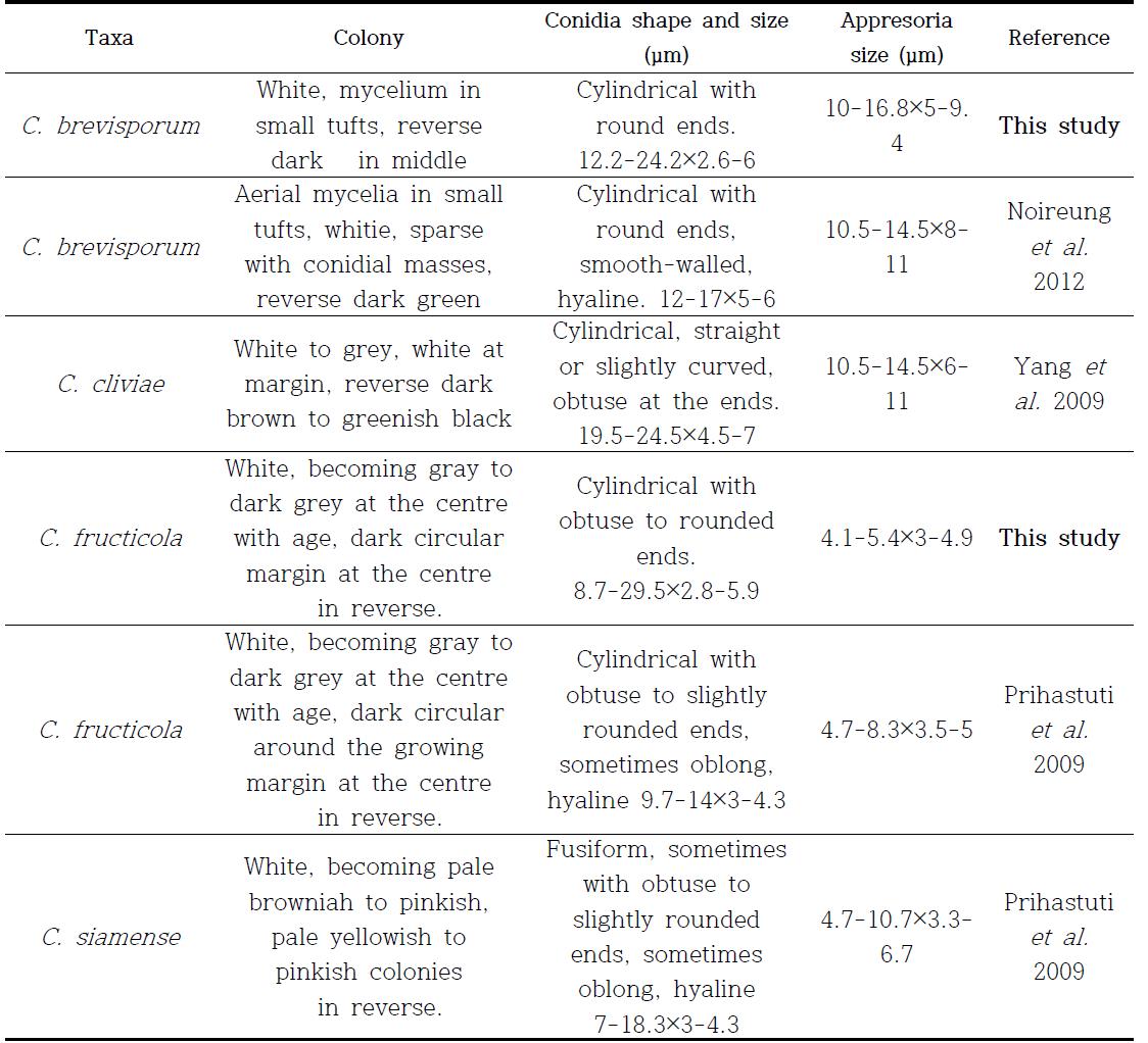 본 연구에 이용된 Colletotrichum 종과 가까운 근연종의 형태적 특징 비교.