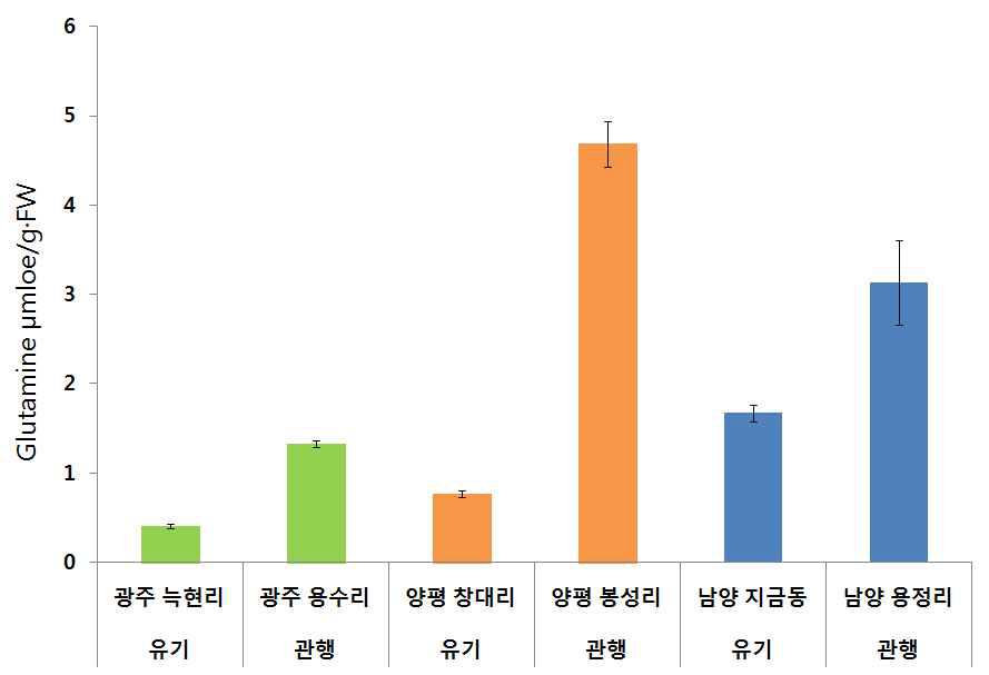 관행 및 유기농 상추 글루타민 함량 비교, 적상추 선풍