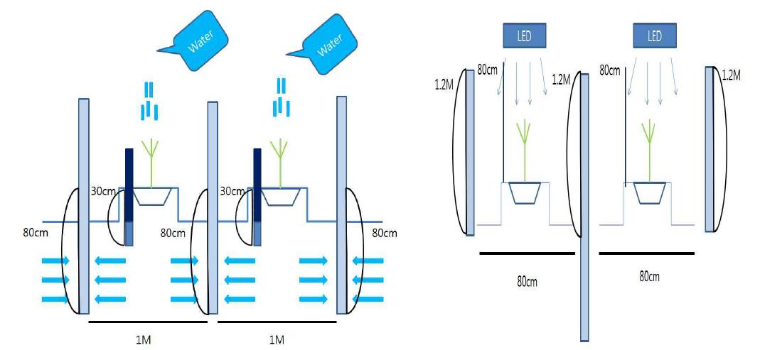 수분 및 광처리 처리구 모식도