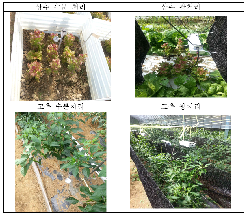 상추와 고추의 수분 및 광 환경조건에 대한 재배시험