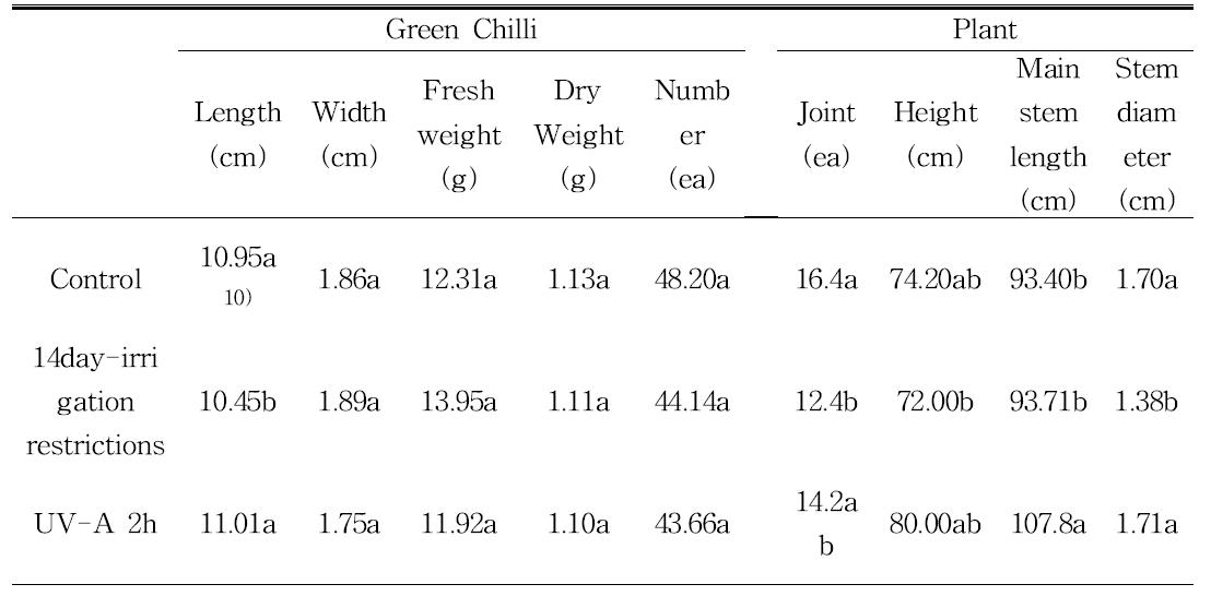 고추의 관수제한 처리 및 UV-A처리구의 생육조사