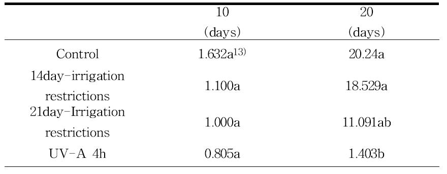 상추의 관수제한 처리 및 UV-A처리구의 생체중 감소량