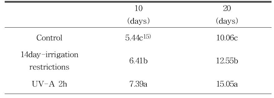 고추의 관수제한 처리 및 UV-A처리구의 생체중 감소량