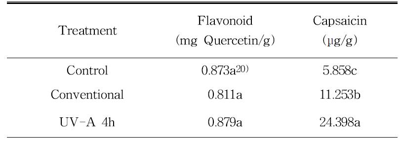 고추의 UV-A 처리의 플라보노이드, 캡사이신 함량 비교