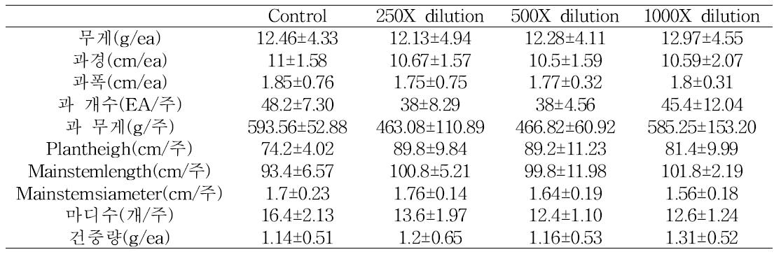 농도별 미생물 처리구 고추 생육조사