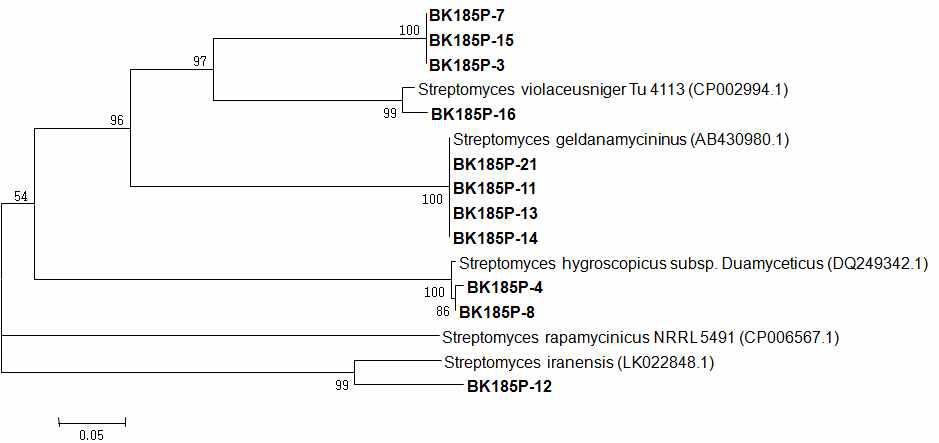 Neighbor-joining tree based on genes for polyketide synthase