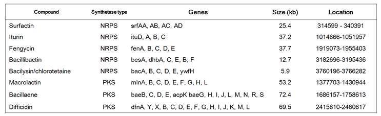 Secondary metabolite synthetase clusters in Bacillus GR4-5