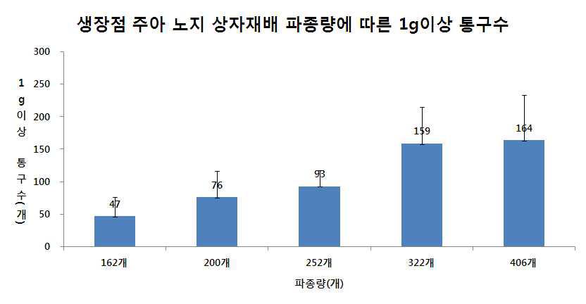 노지 상자재배 파종량별 1g 이상 통구수