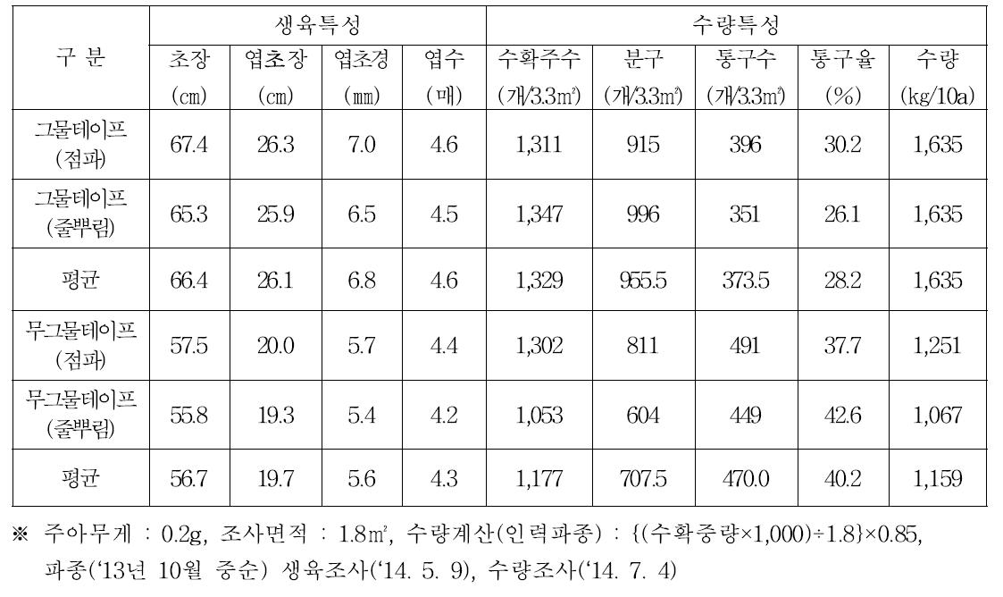 생장점 주아 그물테이프 재배시 생육 및 수량특성