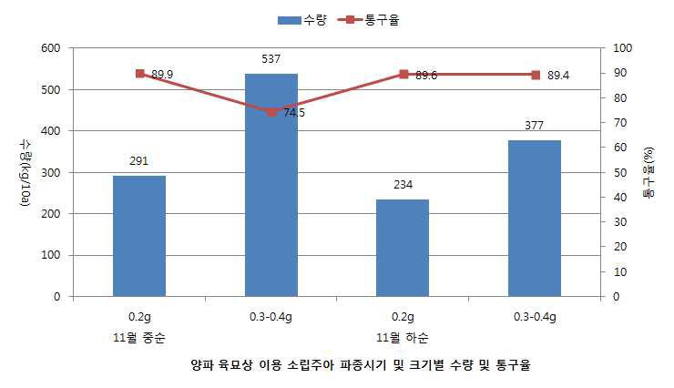 파종시기 및 주아크기별 수량특성