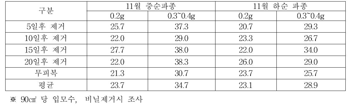 비닐멀칭 주아 파종후 멀칭제거 시기별 입모율